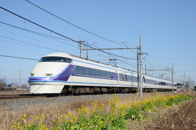 スペーシア[雅]編成と菜の花