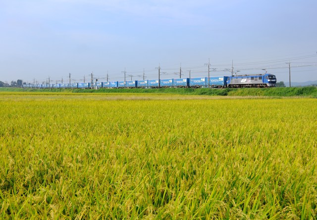 TOYOTA LONGPASS EXPRESS