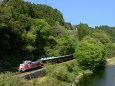 新緑の中を行くトロッコ列車