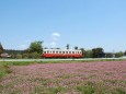 春の鹿島鉄道