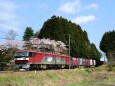 桜とEH500貨物列車