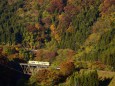 紅葉の会津鉄道