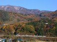 紅葉と冠雪の山々と185系