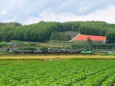 富良野・美瑛ノロッコ号