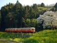 春の小湊鉄道