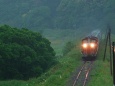 霧雨を衝いて