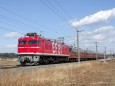 EF81 95 + ゆとり