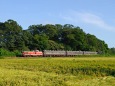 秋の真岡鉄道