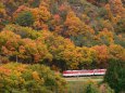 紅葉の磐越西線を行くキハ40系