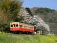 春の小湊鉄道