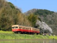 春の小湊鉄道