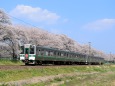 桜と719系 仙台シティラビット