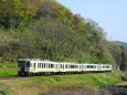 新緑の飯山線