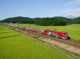 田圃の中を行くEH500貨物列車