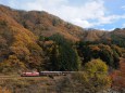 わたらせ渓谷鐵道 トロッコ