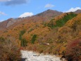 紅葉の中を行くトロッコ列車