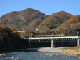 利根川を渡る湘南色115系