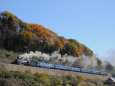 紅葉の築堤とD51 498 SLみなかみ