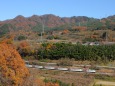 紅葉の山々と185系特急水上