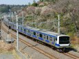 偕楽園の梅とE531系電車