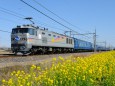 菜の花と北斗星 EF510-510