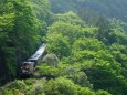 新緑満喫 トロッコ列車