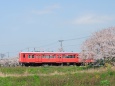 関東鉄道 春模様