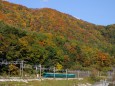 紅葉の山並と485系やまなみ