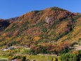 紅葉の山と115系湘南色