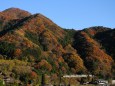 紅葉の山と185系特急水上