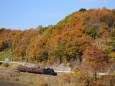 紅葉の真岡鐵道