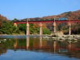 紅葉の鉄橋を渡る貨物列車