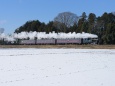 残雪の八木岡を行くSLもおか