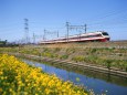 菜の花と東武200系りょうもう