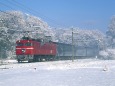 懐古 EF81北斗星 雪景色