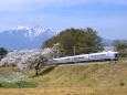 八ヶ岳と桜とスーパーあずさ