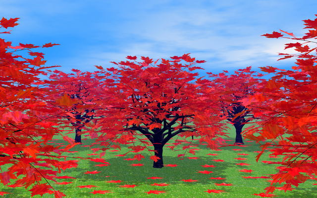 紅葉の樹木林