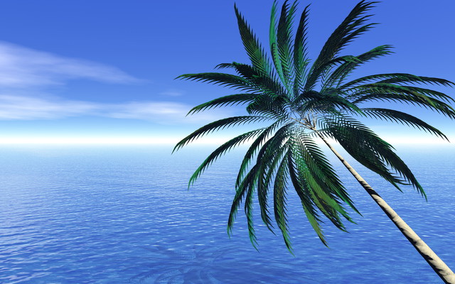 青い海と椰子の木
