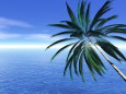 RndList[3]
