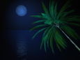 月と椰子の木