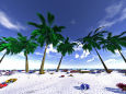 椰子の砂浜