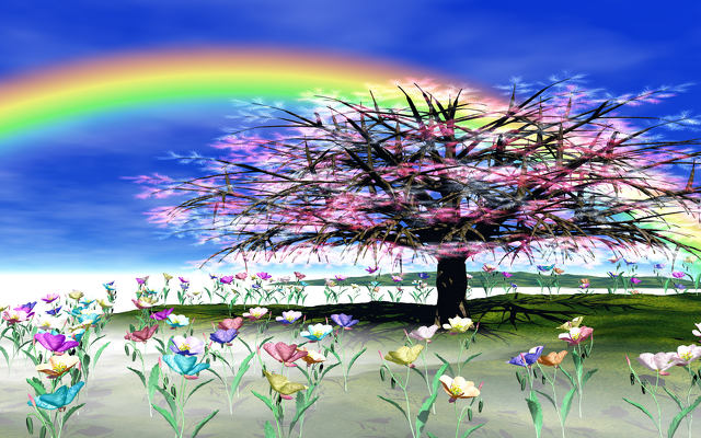 虹と花