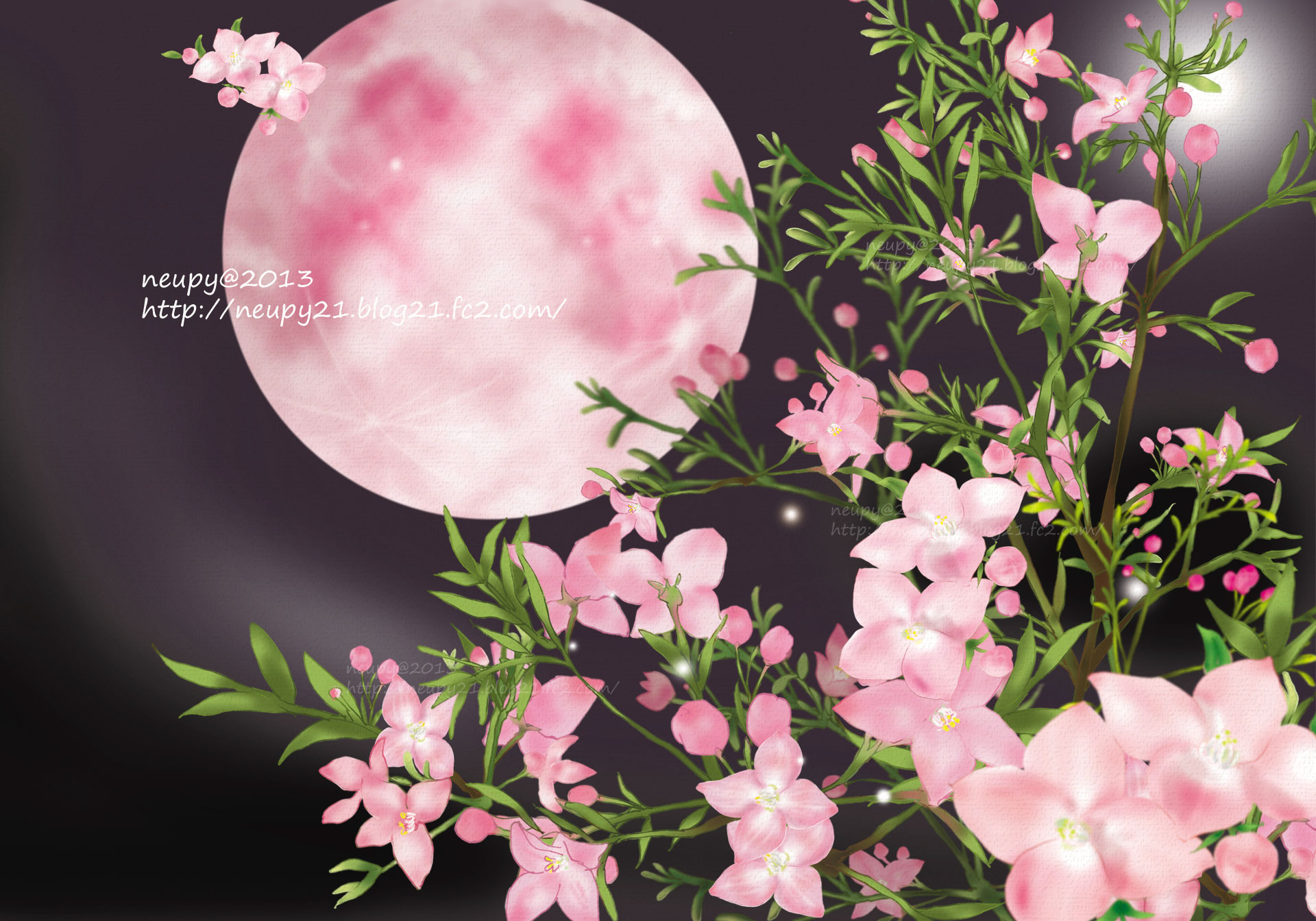 イラスト 絵画 桜色の月 Boronia Pinnate 壁紙19x1344 壁紙館