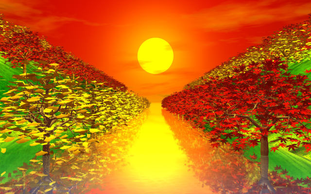 モミジ・イチョウ並木と夕日