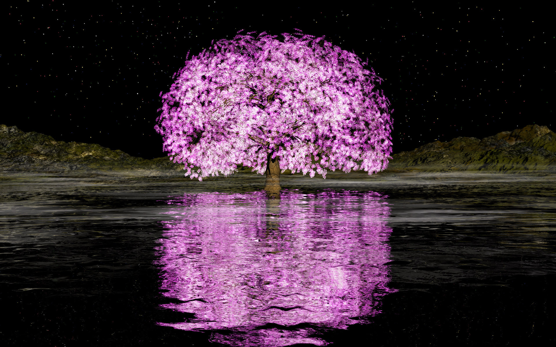 3dcg 夜桜 壁紙19x10 壁紙館