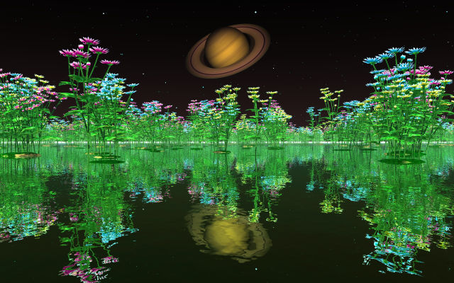 土星と菊