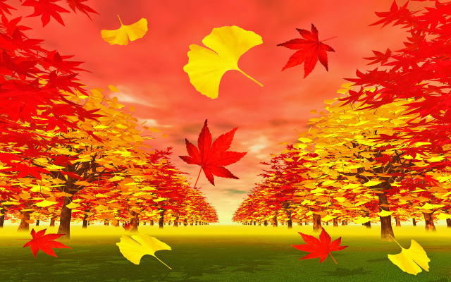 モミジとイチョウ並木