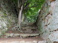 津山城の石垣と石段