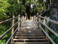 河津七滝ハイキングコースの階段