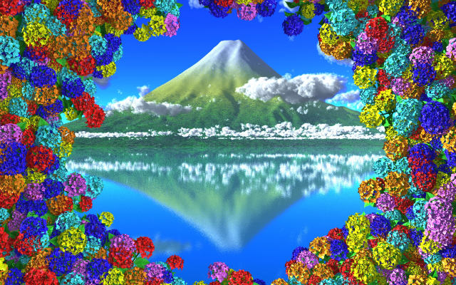 多彩色な紫陽花と冠雪の山